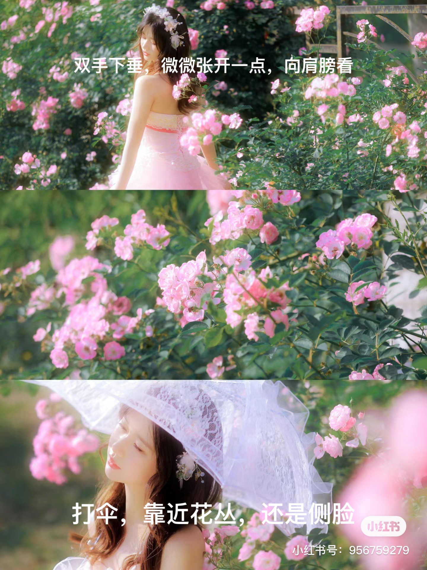 image-20240419075111894